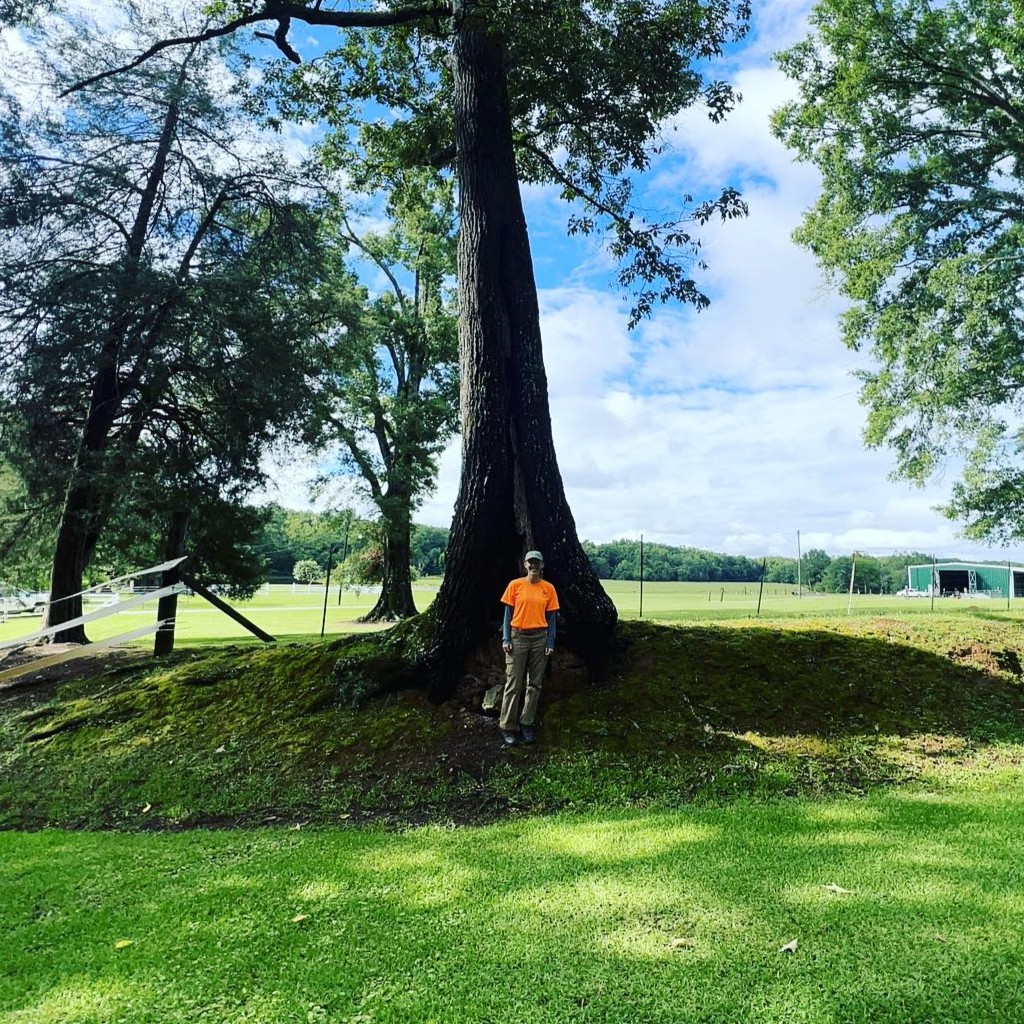 Tree service — team member by large tree
